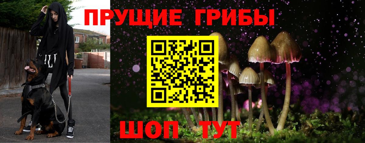 Галлюциногенные грибы Psilocybe  Вход с VPN  Туймазы  Галлюциногенные грибы ЛСД 