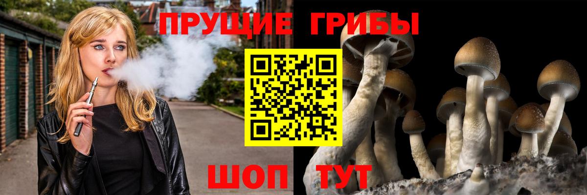 Псилоцибиновые грибы Cubensis Туймазы